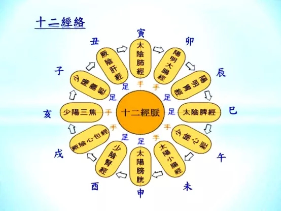 河洛八宝通背强肾功(图4)
