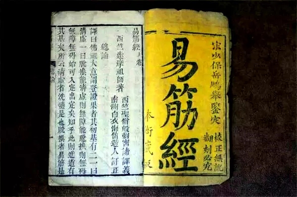 河洛八宝通背强肾功(图5)