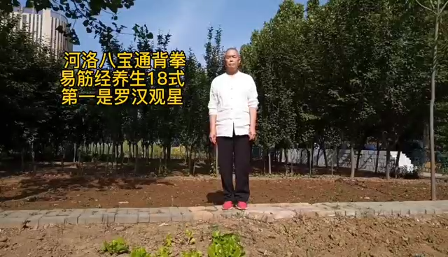 河洛八宝通背拳之罗汉观星